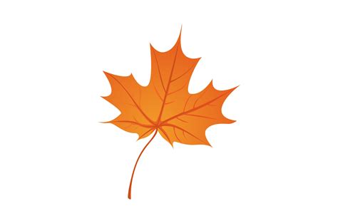 autumn leaf vector